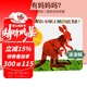英文原版紙板書繪本 Eric Carle 艾瑞卡爾爺爺 Does a Kangaroo Have a Mother Too 袋鼠也有媽媽嗎 兒童啟蒙 幼兒學(xué)習(xí) 英文版繪本 吳敏蘭書單推薦 綠山墻