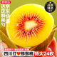 京地達蒲江紅心獼猴桃 24枚特大果單果100g+ 奇異果水果源頭直發(fā)包郵
