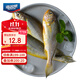 海名威冷凍東海小黃魚(yú)1斤 16-20條 生鮮魚(yú)類(lèi) 海鮮水產(chǎn) 燒烤 野生海捕
