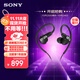 索尼（SONY）INZONE 英縱 E9 賽事級(jí)入耳監(jiān)聽耳機(jī) 虛擬7.1聲道 USB 游戲耳機(jī) IER-G900 黑色 雙11 購物推薦