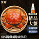 【活蟹】蟹爵大閘蟹  鮮活螃蟹現貨生鮮河蟹實(shí)物水產(chǎn)海鮮禮盒 公5-5.3兩母4-4.3兩4對8只