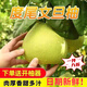 胖·東來同款度尾文旦柚正宗福建仙游有孔紅心蜜柚香甜新鮮現(xiàn)摘柚 爆賣：10 斤裝【45年老樹果】80%人選擇 網(wǎng)袋裝【甄選有孔好果】