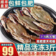 舟山超大活凍新鮮梭子蟹大螃蟹冰鮮飛蟹花蓋蟹生鮮蟹類(lèi) 梭子蟹 精品3斤5-8只(凈重)