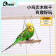 高能鸚鵡虎皮鸚鵡玩具秋千鳥(niǎo)籠專(zhuān)用吊環(huán)籠內配件文鳥(niǎo)牡丹鸚鵡用品秋千內飾 【實(shí)木】鸚鵡秋千玩具