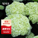 虹越（HONGYUE）大花繡球花盆栽苗 無(wú)盡夏花手鞠萬(wàn)華錦繡球八仙花庭院陽(yáng)臺花卉 【新老枝開(kāi)花】“安妮公主”1加侖