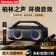 紐曼（Newmine）M01無(wú)線(xiàn)藍牙音箱K歌麥克風(fēng)音響一體式 自帶聲卡家庭KTV音響套裝戶(hù)外聚會(huì )派對卡拉OK神器重低音炮 典雅黑 【立體環(huán)繞音+多混響調節】雙麥版