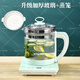 中山優(yōu)益養生壺家用1.8升四代智能煮茶玻璃保溫預約功能煎藥 升級款28功能【蛋架】蒸籠