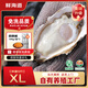 鮮海道【品質(zhì)】鮮海道生態(tài)生蠔  乳山牡蠣 活鮮海蠣子生鮮貝類 品質(zhì)升級(jí)XL號(hào)凈重9斤