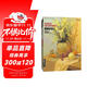 經(jīng)典全集《感悟色彩II》靜物水粉書籍臨摹教程中國美院名師范本寫生與光線校高聯(lián)考畫照片臨本基礎知識入門教材