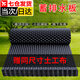 佐之尋蓄排水板屋頂花園種菜樓頂綠化濾水板雙面防阻根板土工布蓄疏水板 蓄排水板【50*100cm】贈同尺寸土工布