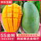 優(yōu)味集芒果新鮮水果禮盒可選廣西金煌芒應季熱帶大水仙甜芒果節日禮品 3斤凈重 精選中果（單果0.8-1.2斤）