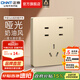 正泰（CHNT）開(kāi)關(guān)插座6C 家用86型暗裝斜五孔插座帶USB插座面板無(wú)框大板香檳金 七孔10A