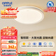歐普（OPPLE）吸頂燈智控調光LED照明燈具全光譜智慧光圓臥包安裝 品見(jiàn)4白