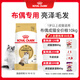 皇家貓糧 布偶成貓糧 RA32 通用糧 12月以上 10KG