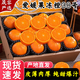 晟容果蔬四川愛(ài)媛38號果凍橙【產(chǎn)地直發(fā)】新鮮橙子孕婦水果當季橘子 5斤優(yōu)選裝【爆甜多汁】?jì)糁?.5斤