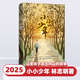 2025暑假閱讀 小小少年 林志明著(zhù) 天津出版傳媒集團 百花文藝出版社 小小少年