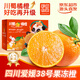 京地達果凍橙四川愛(ài)媛38號果凍橙新鮮橘子桔子水果5斤單果80mm+源頭直發(fā)