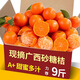 廣西金秋砂糖橘當季新鮮水果孕婦桔子砂糖桔蜜桔柑橘現摘生鮮整箱 9斤凈重8.5斤