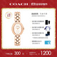 蔻馳（COACH）SAMMY系列 鋼帶石英女表 14504437 禮物/送禮