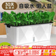 德沃多肥料種菜盆長(cháng)方形種植箱塑料加厚自動(dòng)吸水花盆種菜箱蔬菜種植盆大號