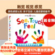 現貨 See, Touch, Feel 紙板書(shū) 觸摸書(shū) 英文原版繪本 幼兒英語(yǔ)啟蒙圖畫(huà)書(shū) Roger Priddy 觸覺(jué) 視覺(jué)  顏色 字母學(xué)習 數字學(xué)習 培養創(chuàng  )造力 See, Touch, Feel