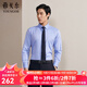 雅戈爾（YOUNGOR）長(cháng)袖襯衫男DP免燙襯衫純棉面料抗皺易打理新品 GLDP10171GFA湖藍色 41