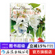 寫(xiě)實(shí)水彩課 如何描繪生動(dòng)的動(dòng)物和植物 藝術(shù)水彩繪畫(huà)書(shū)籍  后浪