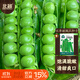 北蔬 甜豌豆種子苗甜脆青豌豆大莢蔬菜種籽 長(cháng)壽甜豌豆種子25g約95粒