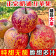 御京鮮昭通蘋(píng)果冰糖心丑蘋(píng)果新鮮水果大涼山紅富士當季脆甜整箱凈重4.5斤特級果（70-79mm）現摘現發(fā)