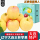 南步正宗大連王林蘋(píng)果【順豐速發(fā)】紅臉雀斑美人梨味青森蘋(píng)果新鮮水果 5-5.4斤 優(yōu)選特大果【約9枚】