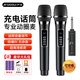 山水（SANSUI）M1 麥克風(fēng)無(wú)線(xiàn)麥克風(fēng)話(huà)筒家用唱歌K歌一拖二戶(hù)外舞臺音響ktv麥克風(fēng)主持會(huì )議卡拉OK直播
