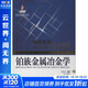 鉑族金屬冶金學(xué) 中南大學(xué)出版社 劉時(shí)杰 著 有色金屬理論與技術(shù)前沿叢書 書籍