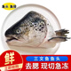海宏盈挪威三文魚(yú)去鰓魚(yú)頭 三文魚(yú)魚(yú)頭燒烤煲湯食材新鮮魚(yú)類(lèi)海鮮生鮮 三文魚(yú)魚(yú)頭 5只 2500g