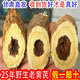 唯昱記 甘肅25年野生黃芪片500g生黃芪炙黃芪北黃芪煲湯泡水泡茶中藥材 25年野生黃芪500g【罐裝】