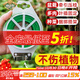 德沃多肥料自帶切割器瓜苗葡萄藤蔓植物固定器繩子捆綁線(xiàn)鐵絲包塑園林扎線(xiàn)