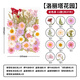 天色干花書(shū)簽材料包創(chuàng  )意手工制作小學(xué)生男女孩畢業(yè)紀念禮物植物標本洛麗塔花園彩色系37朵TS-6139
