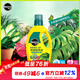 美樂(lè )棵天南星營(yíng)養液養花家庭園藝花肥肥料龜背竹萬(wàn)年青紅掌專(zhuān)用肥料 1L天南星科