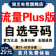 中國電信【在線(xiàn)選號】電信純流量卡手機卡電信卡全國通用流量包電話(huà)卡29元80G流量 【星卡】大流量Plus版