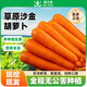 京鮮生&蒙之寶內蒙帶泥蜜脆沙金胡蘿卜200gx20根4kg 甜脆多汁源頭直發(fā)