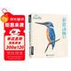 經(jīng)典全集《彩鉛動(dòng)物》手繪入門(mén)臨摹基礎教程書(shū)籍色鉛筆零基礎初學(xué)者成人昆蟲(chóng)鳥(niǎo)類(lèi)貓咪狗狗魚(yú)技法寶典一本就夠