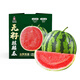 曉吸無(wú)籽麒麟西瓜約4kg