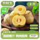 京鮮生  云南石林人參果 凈重3斤  單果100g+ 生鮮水果源頭直發(fā)包郵