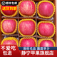 靜寧蘋(píng)果 【順豐到家】甘肅紅富士蘋(píng)果水果 新鮮應季靜寧蘋(píng)果 凈重5斤裝10-12枚75中果嚴選裝