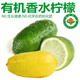 諸氏橙品【有機(jī)】香水檸檬 云南新鮮青檸檬無(wú)籽香檸檬手打檸檬 當(dāng)季水果 精選3斤裝，約9-15顆