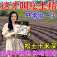 松土精土壤活化劑疏松改善土地板結免深耕黑水肥料翻地松土神器 【1袋】改善土地板結