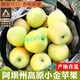 桃西村正宗阿壩州金冠小金蘋(píng)果青綠香甜新鮮翻砂黃蘋(píng)果當季孕婦兒童水果 正宗金冠小金蘋(píng)果 9斤 75mm(含)-85mm 大果22個(gè)左右