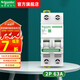 施耐德（Schneider）空氣開(kāi)關(guān) 帶漏電保護斷路器 R9系列2P空開(kāi) 雙進(jìn)雙出家用總閘 2P 63A空開(kāi)
