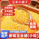 【到手5袋】香糯玉米碴米飯伴侶當季新米小碴子玉米粘碴子500g/袋 【到手5袋】香糯玉米小碴子5袋*500g/袋