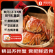 【活蟹】趣嘗鮮 蘇州大閘蟹 全母蟹 單只2.8-3.1兩 8只禮盒裝 去繩足重 源頭直發(fā)