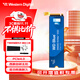 西部數據（WD）sn580/sn5000/sn770/sn7100 NVME協(xié)議 M.2 2280 PCle4.0臺式機筆記本游戲 ssd固態(tài)存儲硬盤(pán) 藍盤(pán)SN580 1T+散熱片